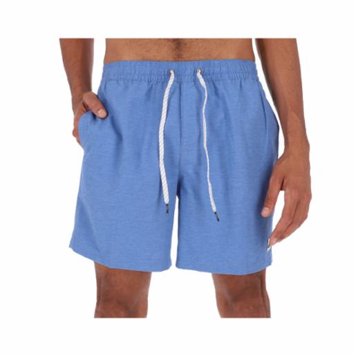 Shorts Volley Quiksilver Everyday 17" Blue Yonder Heather