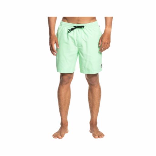 Shorts Everyday 17'' Mint Quiksilver